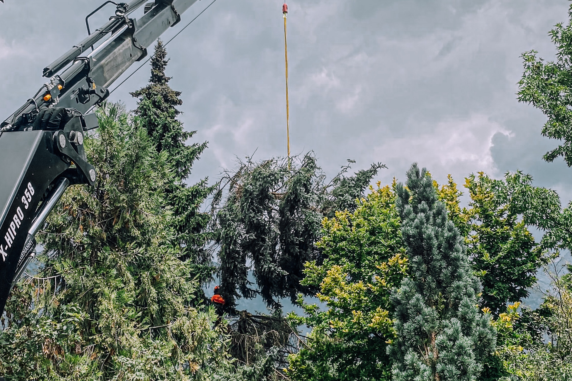 vk-auer-verkehrsfuerhungen-forstwirtschaft-problem-baum-entfernung-mit-hilfe-eines-kran